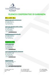 elenco cooperative di garanzia belluno (bl)