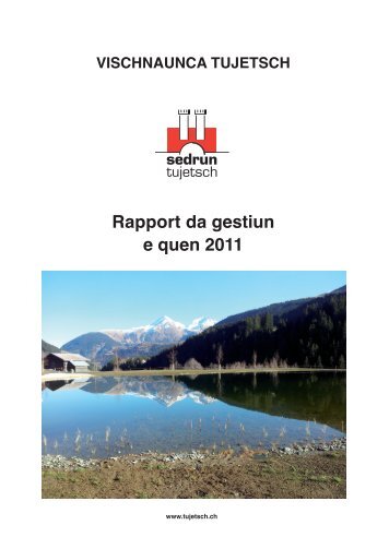 Rapport da gestiun e quen 2011