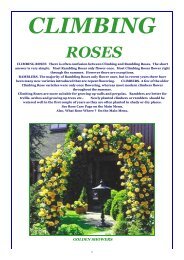 ON LINE BROCHURE Climbing Roses - Country Garden Roses