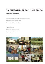 Schulsozialarbeit Seehalde - Portfolio Gregory Turkawka