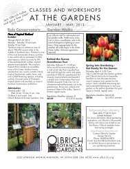 Classes & Workshops for Adults - Olbrich Botanical Gardens