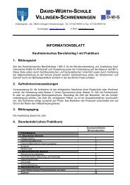 informationsblatt - David-Würth-Schule