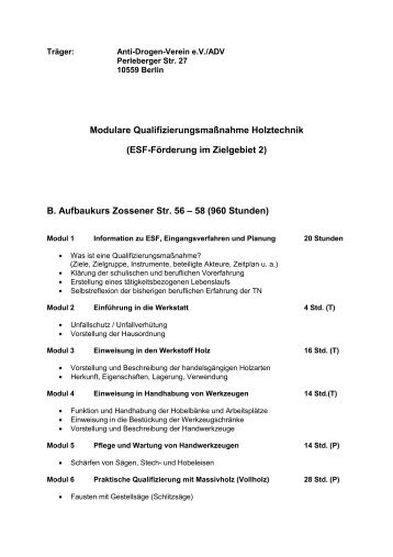 Lehrplan Aufbaukurs Holztechnik - Anti Drogen Verein