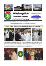 Ausgabe 6/2010 (567 KB) - Schiedlberg - Land Oberösterreich