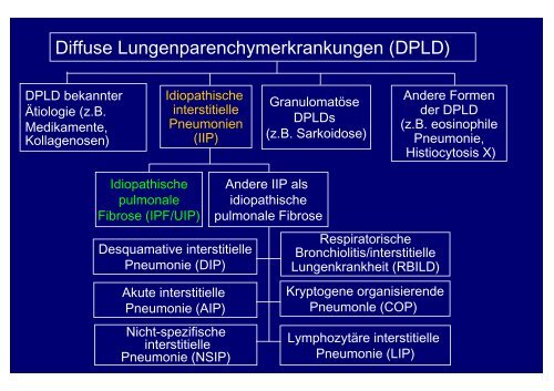 Lungenfibrosen (Prof. Costabel)