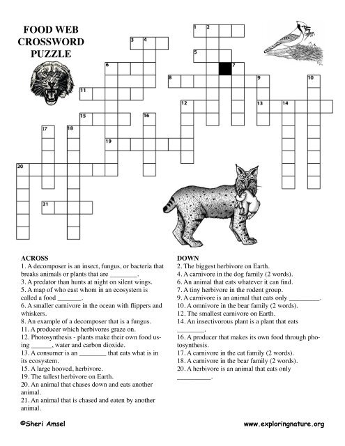 FOOD WEB CROSSWORD PUZZLE FOOD WEB CROSSWORD PUZZLE