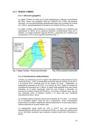 Tumbes – Informe Final - Ministerio de Agricultura