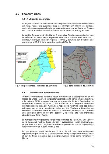 Tumbes – Informe Final - Ministerio de Agricultura