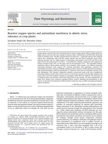 Reactive oxygen species and antioxidant machinery in abiotic stress ...