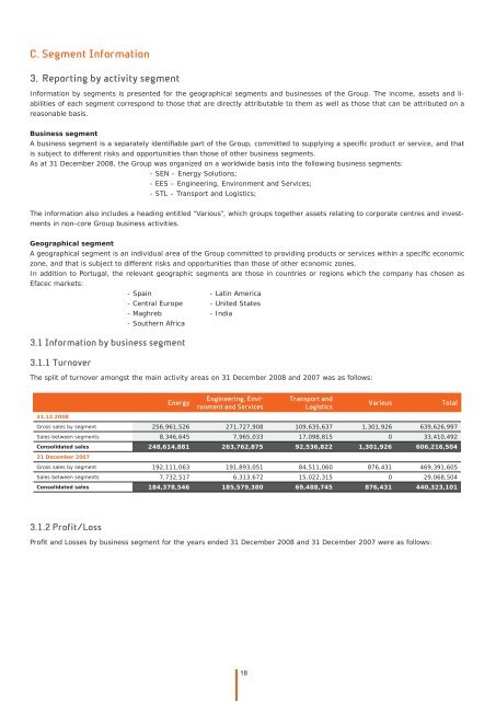 Notes to the consolidated financial statements - Efacec