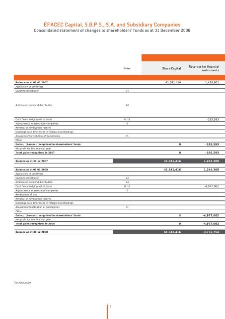 Notes to the consolidated financial statements - Efacec