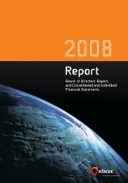 2008 Report_Board of Directors Report - Efacec