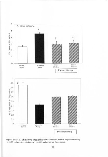 ischaemic preconditioning of the human heart. - Leicester Research ...