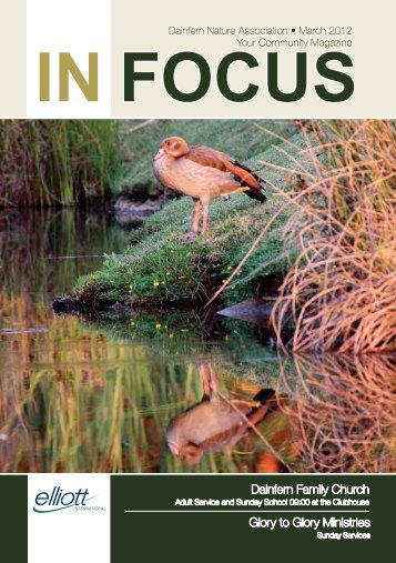 in focus - Dainfern