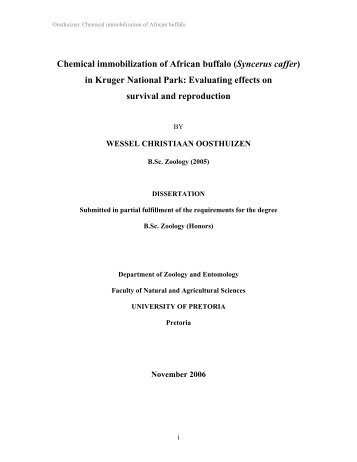 Chemical immobilization of African buffalo - Northern Rocky ...