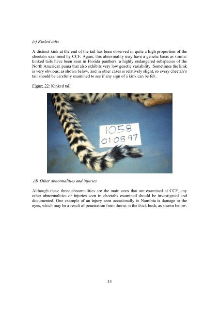 cheetah capture and immobilisation handbook - Cat Specialist Group