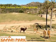 Nile Lechwe Herd Management - Antelope & Giraffe TAG