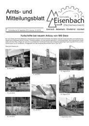 redaktionellen Teil - Gemeinde Eisenbach
