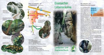 Eisenacher Lebensräume - Landgrafen - und Drachenschlucht