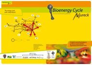 Bioenergy Cycle - Seeg