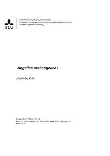 Angelica archangelica L. - Sveriges lantbruksuniversitet