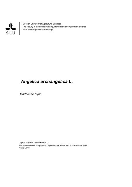 Angelica archangelica L. - Sveriges lantbruksuniversitet