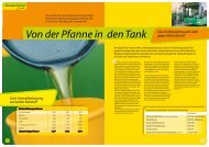 Von der Pfanne in den Tank - Seeg