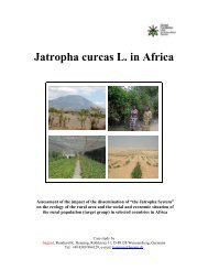 Case Study 'Jatropha Curcas' Africa - GFU for Underutilized Species