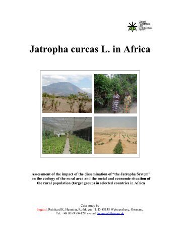 Case Study 'Jatropha Curcas' Africa - GFU for Underutilized Species