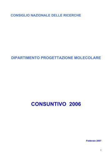 CONSUNTIVO 2006 - CNR