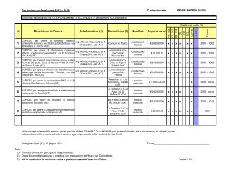 Curriculum professionale 2001 – 2010 Professionista - TrovaVetrine.it