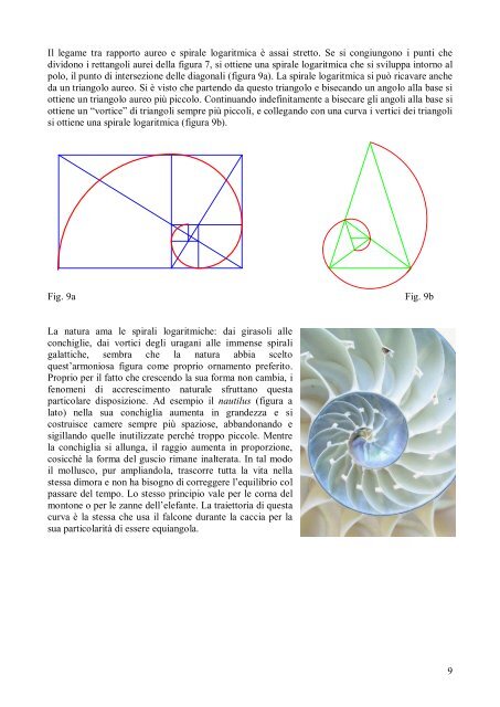 La Sezione Aurea