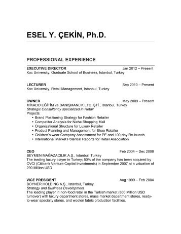 ESEL Y. ÇEKİN, Ph.D. PROFESSIONAL EXPERIENCE