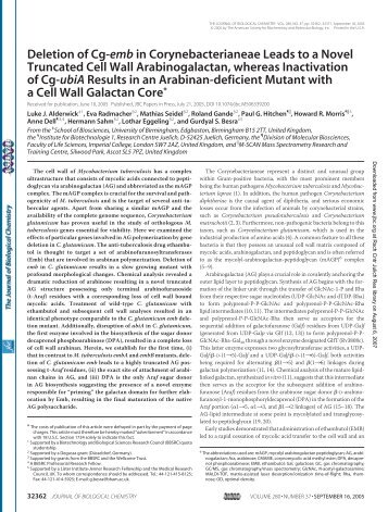 Deletion of Cg-emb in Corynebacterianeae Leads to a ... - JUWEL