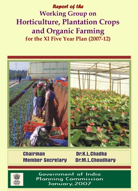 Horticulture, Plantation Crops and Organic Farming - of Planning ...