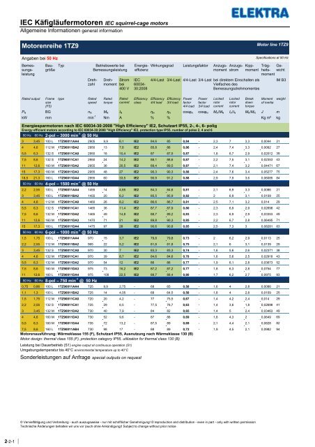 IE2-Motoren - Elektra Handelsgesellschaft mbH