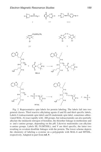 Calcium-Binding Protein Protocols Calcium-Binding Protein Protocols