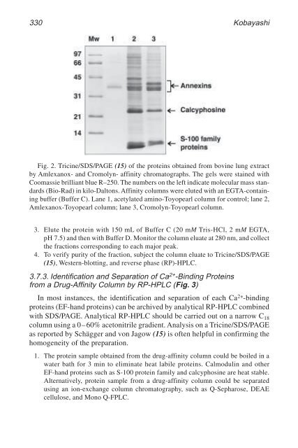 Calcium-Binding Protein Protocols Calcium-Binding Protein Protocols