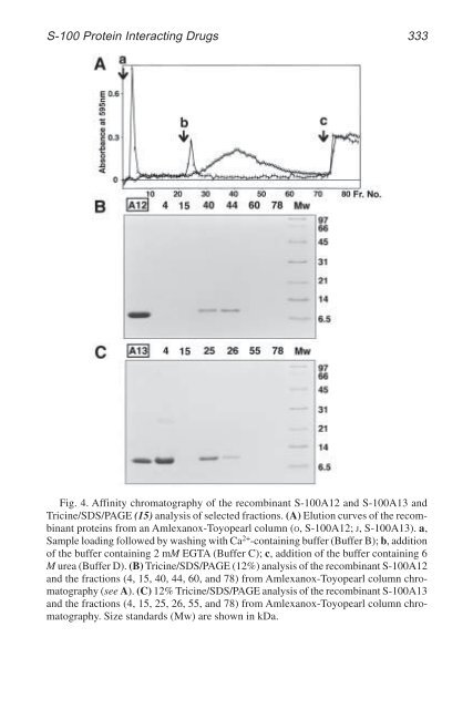 Calcium-Binding Protein Protocols Calcium-Binding Protein Protocols