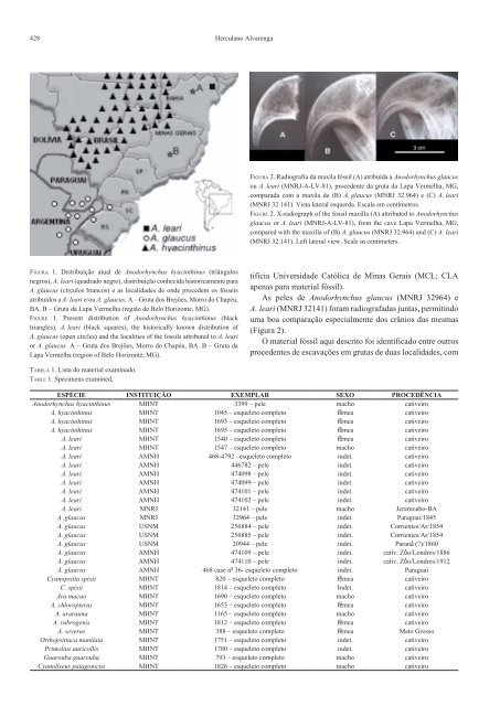 PDF da revista completa - SBO