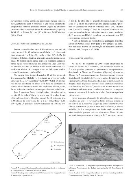 PDF da revista completa - SBO