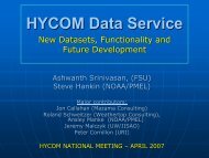 HYCOM Data Service