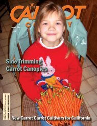 Side Trimming Carrot Canopies - Columbia Publishing & Design