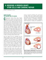 6. mending a broken heart - Stem Cell Information