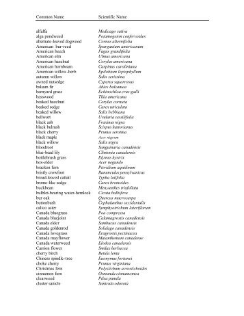 List of Plant Names - Attachment F