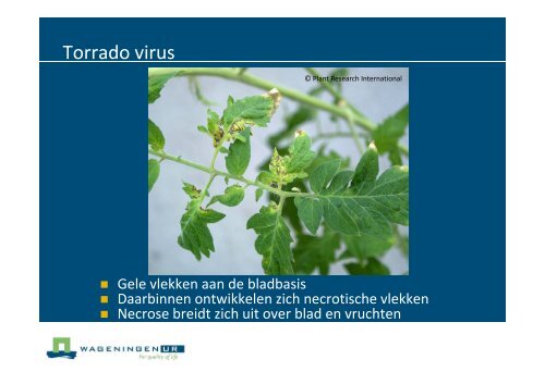 Nederlandse poster - Productschap Tuinbouw