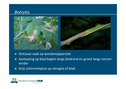 Nederlandse poster - Productschap Tuinbouw