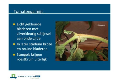 Nederlandse poster - Productschap Tuinbouw