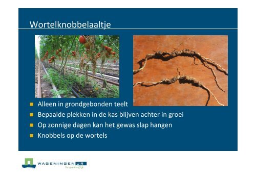 Nederlandse poster - Productschap Tuinbouw