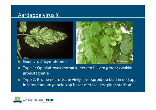 Nederlandse poster - Productschap Tuinbouw